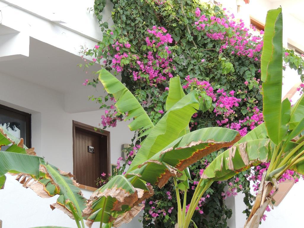 Apartamentos Sal Rossa Ibiza Town Exterior photo